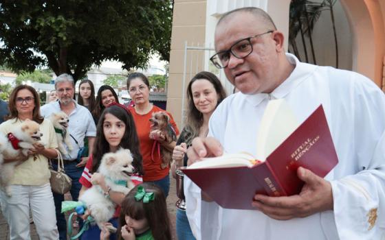Bênção dos Animais 2024 - Festa de São Francisco de Assis